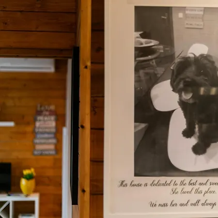 Parque de vacaciones Adega Da Quinta -casa Da Pipas Madalena (Azores)